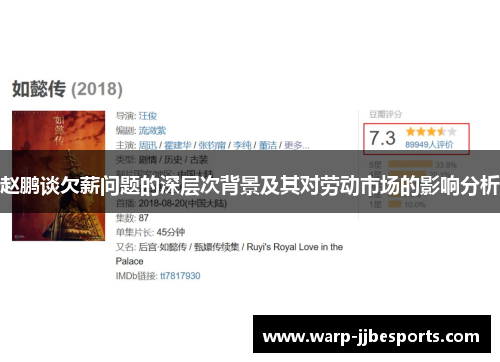 赵鹏谈欠薪问题的深层次背景及其对劳动市场的影响分析